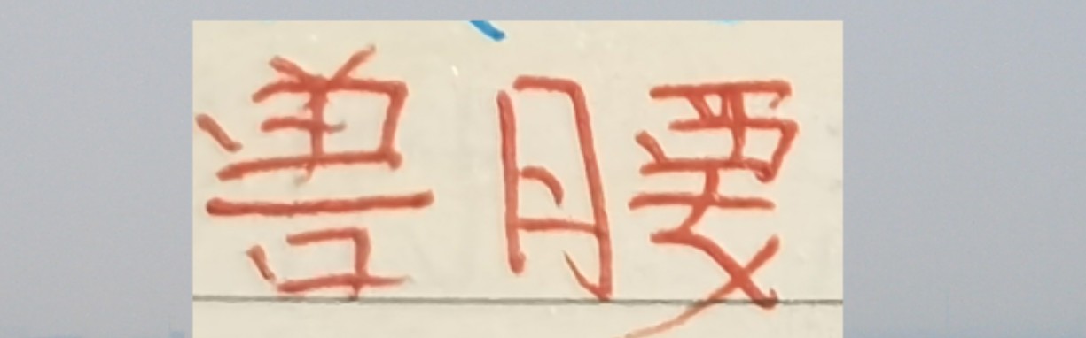 yunkai官网-中超各队新赛季魔兽 海港找了非洲外援 武汉找了阿德里亚诺